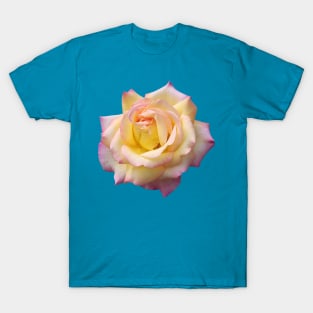 Pink Yellow Ombre Pastel Rose Flower T-Shirt